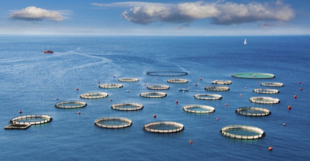 2025年中國深遠海養殖裝置行業(yè)政策、發(fā)展歷程、行業(yè)現狀及未來(lái)發(fā)展趨勢分析：海洋產(chǎn)業(yè)轉型升級驅動(dòng)，深遠海養殖裝置需求持續攀升
